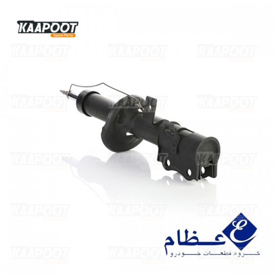 کمک جلو ساینا چپ - عظام