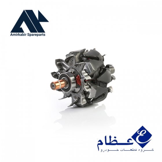آرمیچر دینام 405 - عظام