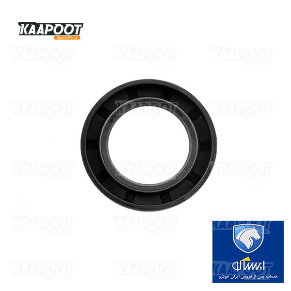 کاسه نمد پلوس کوچک 405 - ایساکو (visiun)